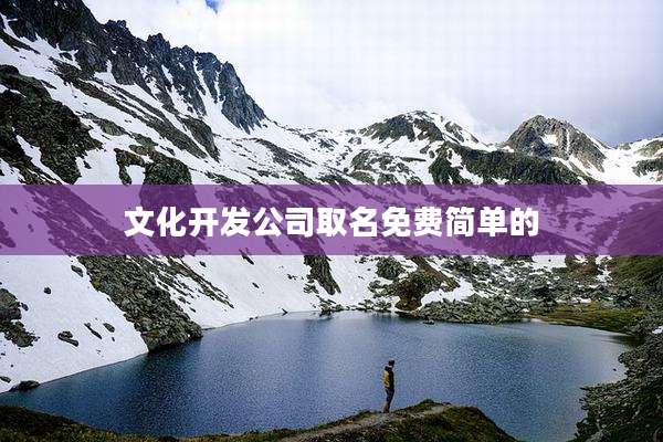 文化开发公司取名免费简单的