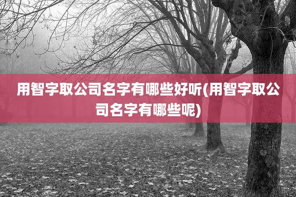 用智字取公司名字有哪些好听(用智字取公司名字有哪些呢)