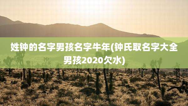 姓钟的名字男孩名字牛年(钟氏取名字大全男孩2020欠水)