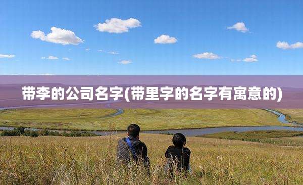 带李的公司名字(带里字的名字有寓意的)