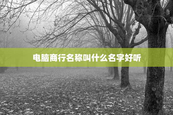 电脑商行名称叫什么名字好听