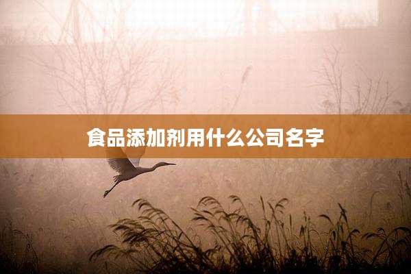 食品添加剂用什么公司名字