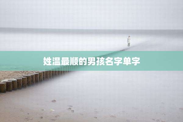 姓温最顺的男孩名字单字