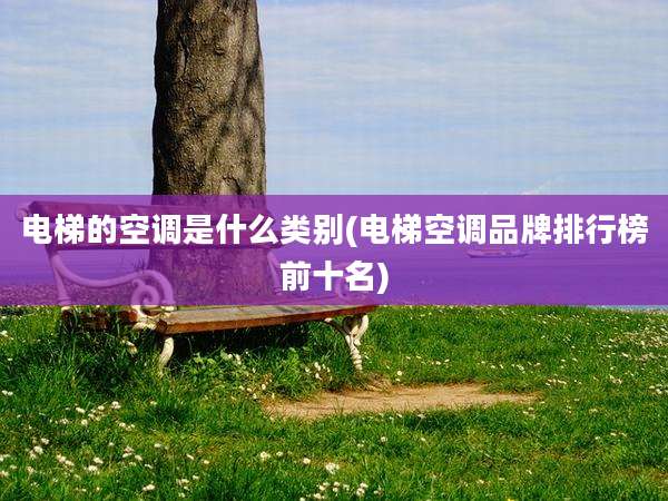 电梯的空调是什么类别(电梯空调品牌排行榜前十名)