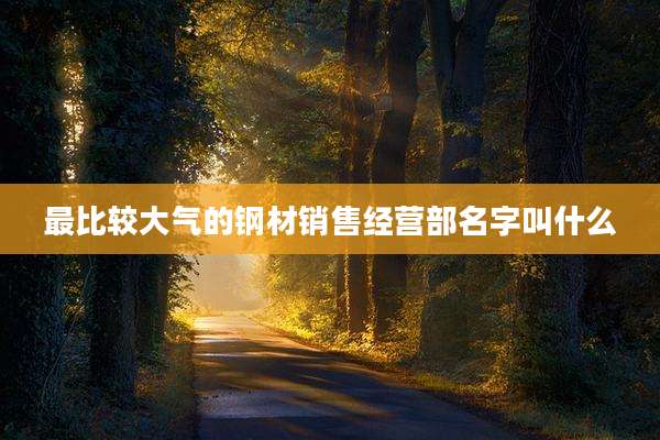 最比较大气的钢材销售经营部名字叫什么