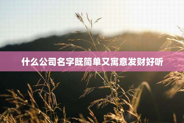 什么公司名字既简单又寓意发财好听