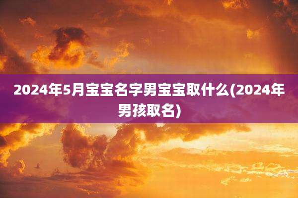 2024年5月宝宝名字男宝宝取什么(2024年男孩取名)