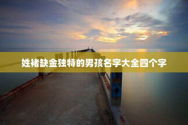 姓褚缺金独特的男孩名字大全四个字