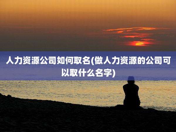 人力资源公司如何取名(做人力资源的公司可以取什么名字)