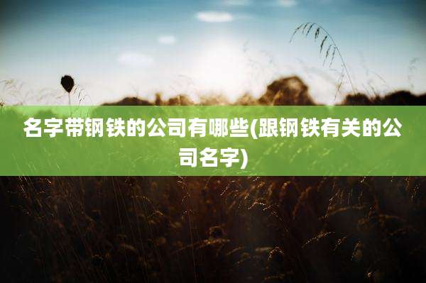 名字带钢铁的公司有哪些(跟钢铁有关的公司名字)