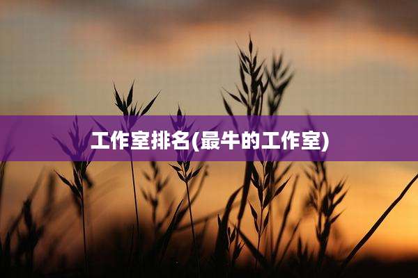 工作室排名(最牛的工作室)