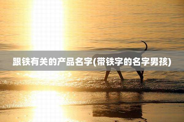 跟铁有关的产品名字(带铁字的名字男孩)