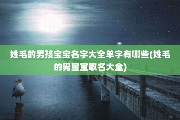 姓毛的男孩宝宝名字大全单字有哪些(姓毛的男宝宝取名大全)
