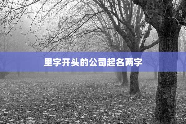 里字开头的公司起名两字