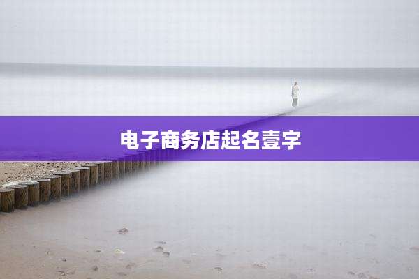 电子商务店起名壹字