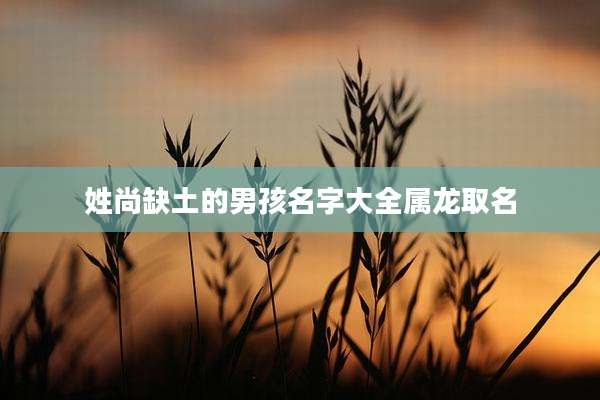 姓尚缺土的男孩名字大全属龙取名