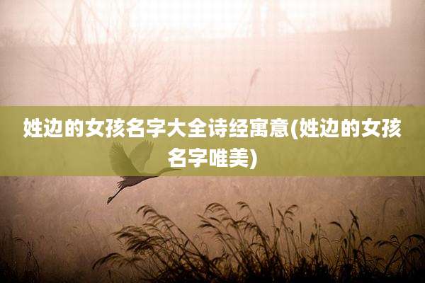 姓边的女孩名字大全诗经寓意(姓边的女孩名字唯美)