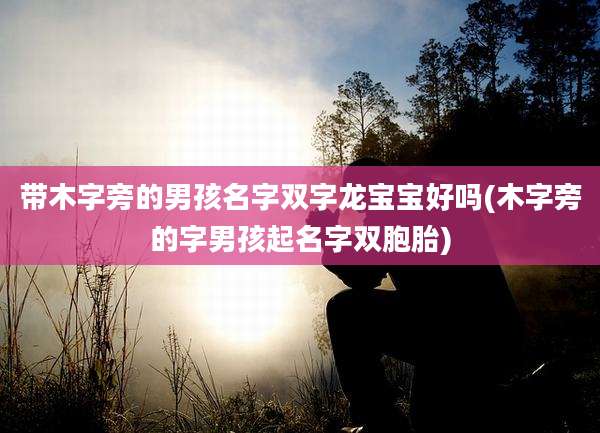 带木字旁的男孩名字双字龙宝宝好吗(木字旁的字男孩起名字双胞胎)