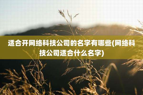 适合开网络科技公司的名字有哪些(网络科技公司适合什么名字)