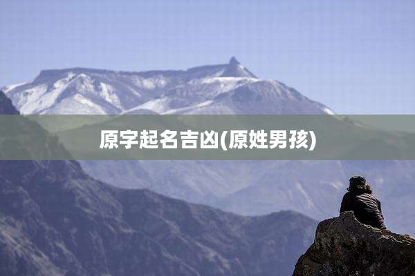 原字起名吉凶(原姓男孩)