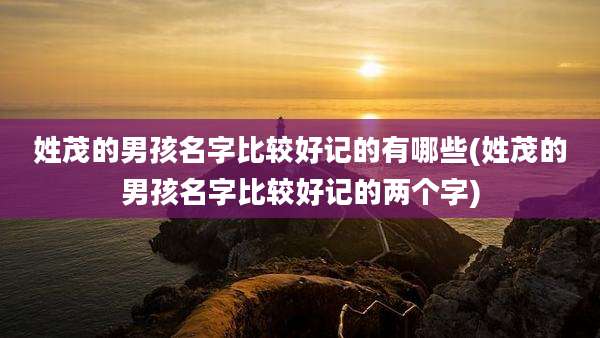 姓茂的男孩名字比较好记的有哪些(姓茂的男孩名字比较好记的两个字)