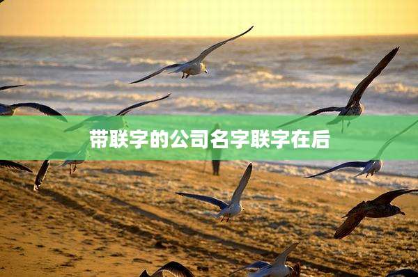 带联字的公司名字联字在后