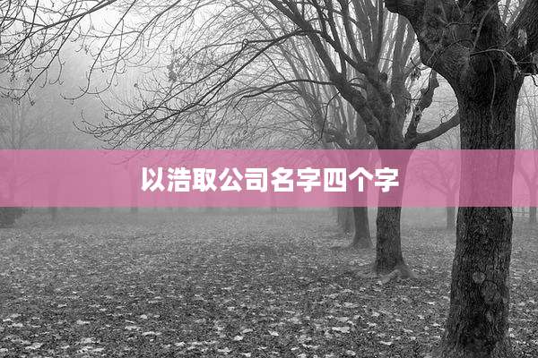 以浩取公司名字四个字