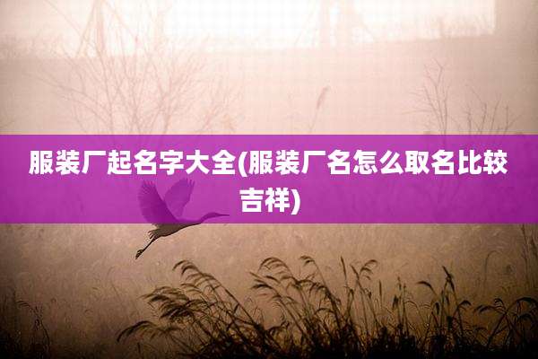 服装厂起名字大全(服装厂名怎么取名比较吉祥)