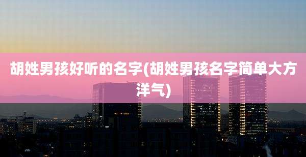 胡姓男孩好听的名字(胡姓男孩名字简单大方洋气)
