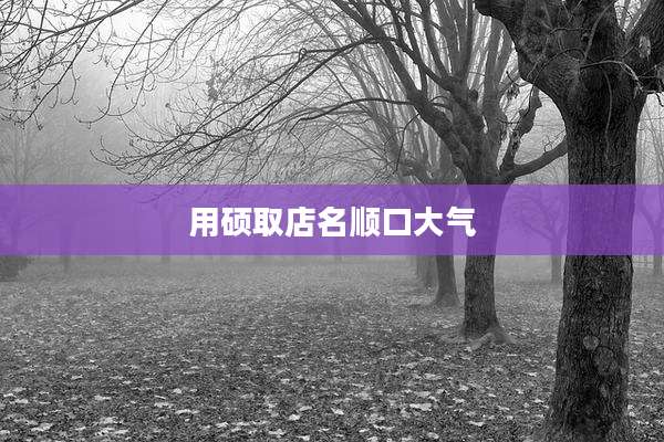 用硕取店名顺口大气