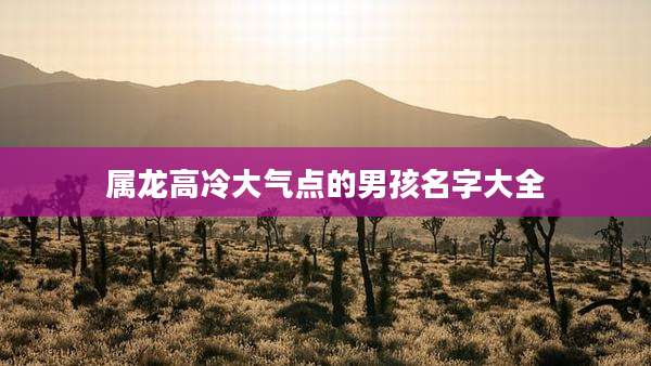 属龙高冷大气点的男孩名字大全