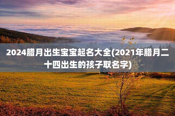 2024腊月出生宝宝起名大全(2021年腊月二十四出生的孩子取名字)
