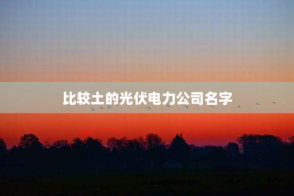 比较土的光伏电力公司名字
