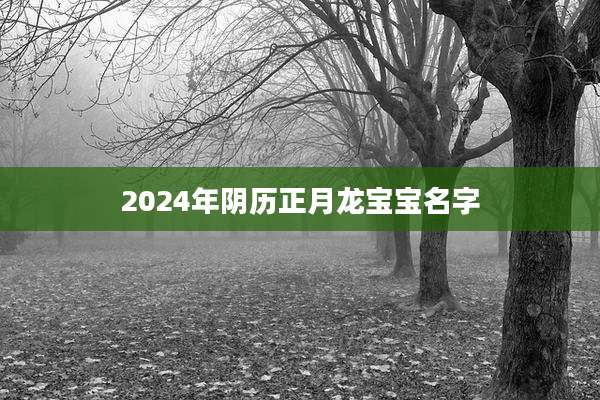 2024年阴历正月龙宝宝名字