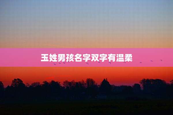 玉姓男孩名字双字有温柔