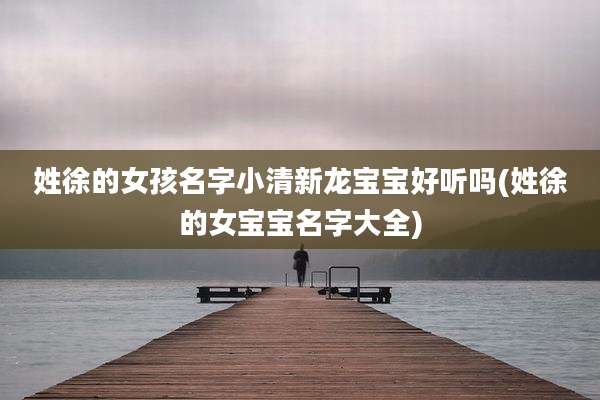 姓徐的女孩名字小清新龙宝宝好听吗(姓徐的女宝宝名字大全)