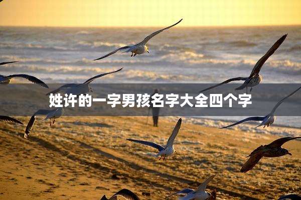 姓许的一字男孩名字大全四个字