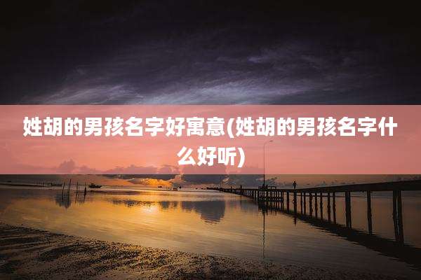 姓胡的男孩名字好寓意(姓胡的男孩名字什么好听)