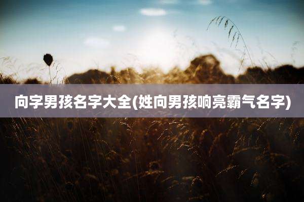 向字男孩名字大全(姓向男孩响亮霸气名字)