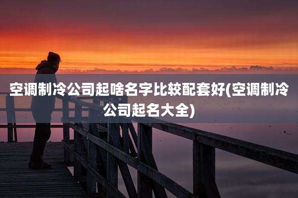 空调制冷公司起啥名字比较配套好(空调制冷公司起名大全)
