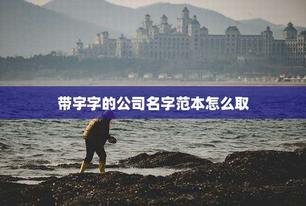 带宇字的公司名字范本怎么取