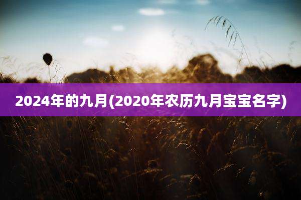 2024年的九月(2020年农历九月宝宝名字)