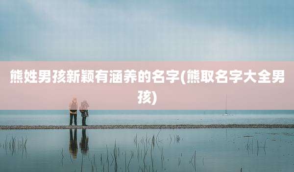 熊姓男孩新颖有涵养的名字(熊取名字大全男孩)