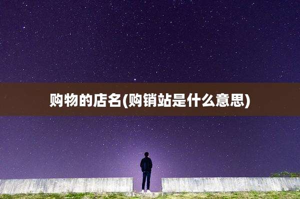 购物的店名(购销站是什么意思)