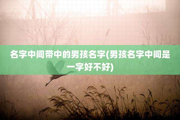 名字中间带中的男孩名字(男孩名字中间是一字好不好)