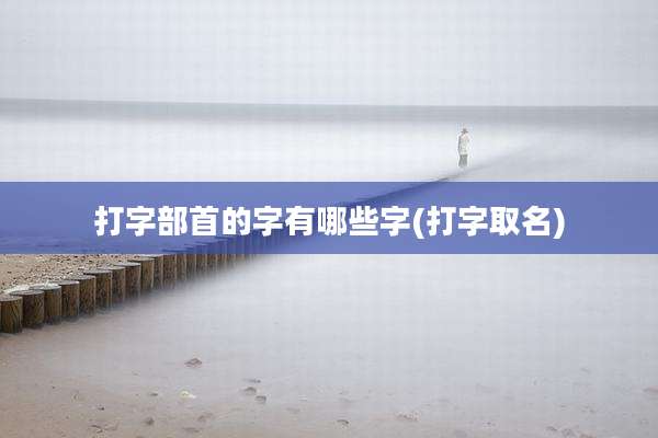 打字部首的字有哪些字(打字取名)