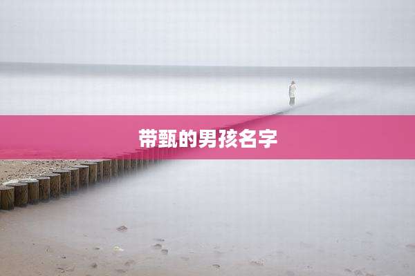 带甄的男孩名字
