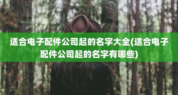 适合电子配件公司起的名字大全(适合电子配件公司起的名字有哪些)