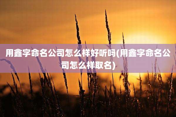 用鑫字命名公司怎么样好听吗(用鑫字命名公司怎么样取名)