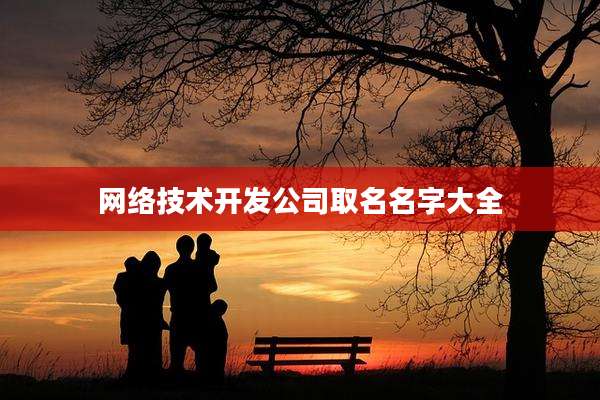 网络技术开发公司取名名字大全